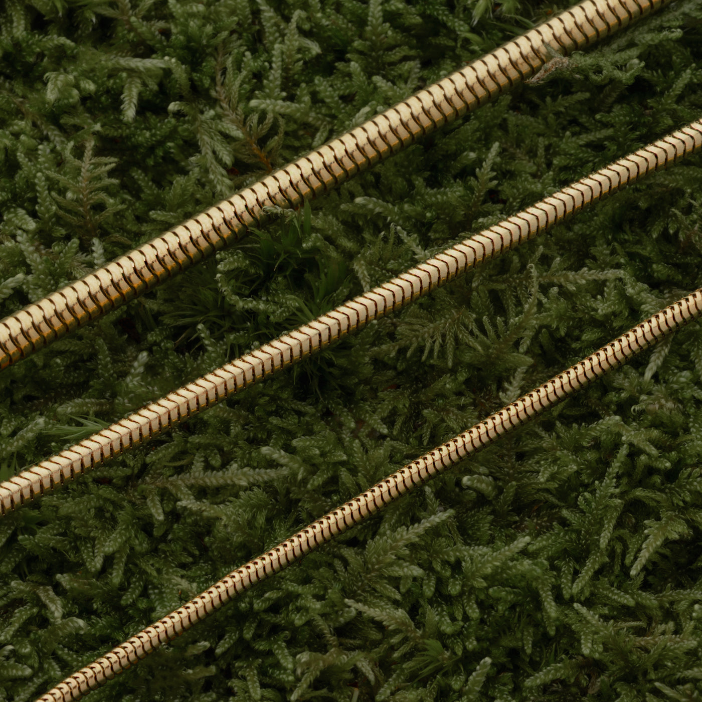 Snake Chain, Vergoldet